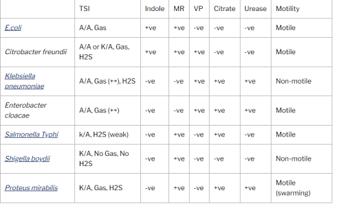 واکنش‌های بیوشیمیایی انتروباکتریاسه