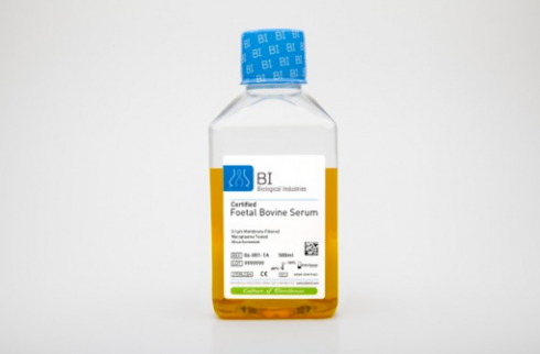 سرم جنین گاوی (FBS) چیست؟