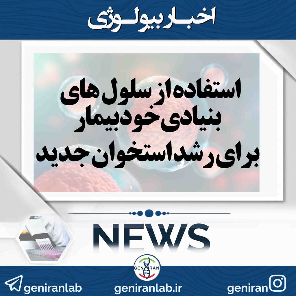 استفاده ازسلول های بنیادی خود بیمار برای رشد استخوان جدید