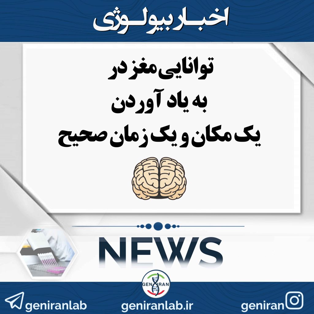 توانایی مغز در به یاد آوردن یک مکان و یک زمان صحیح