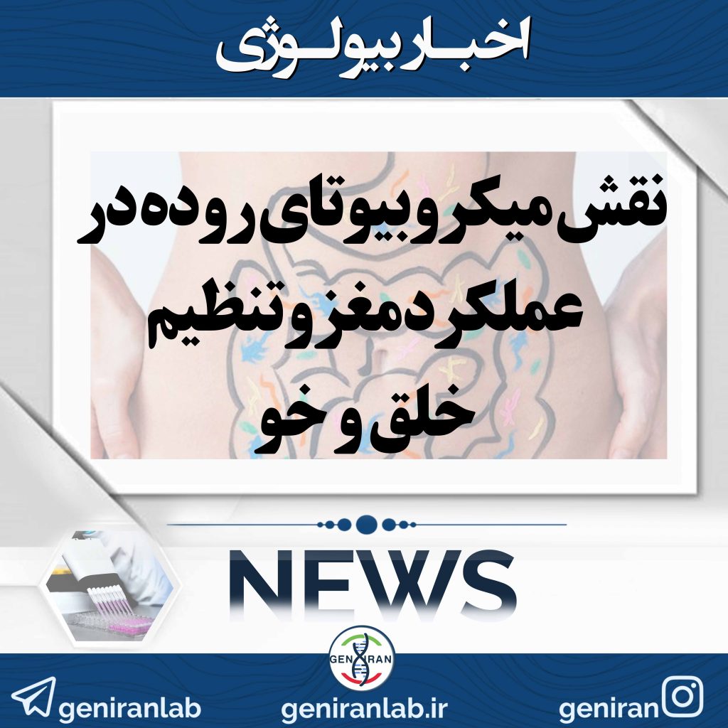 نقش میکروبیوتای روده در عملکرد مغز و تنظیم خلق و خو