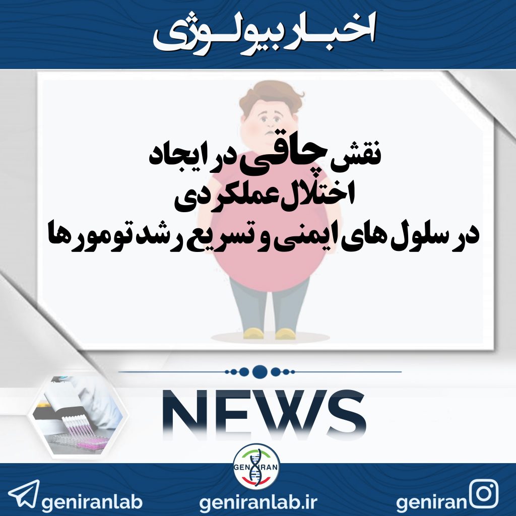 نقش چاقی در ایجاد اختلال عملکردی در سلول های ایمنی و تسریع رشد تومورها