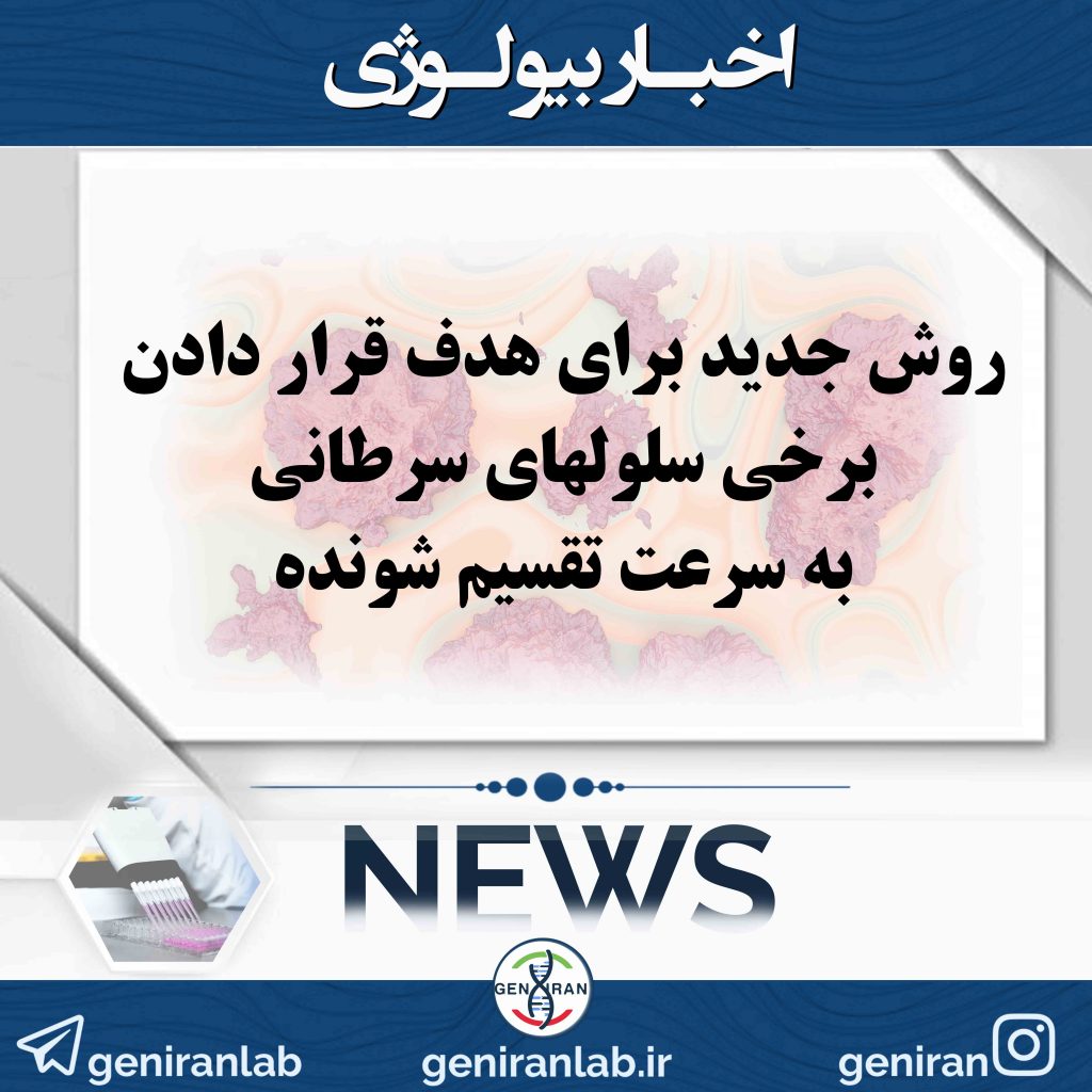 روش جدید برای هدف قرار دادن برخی سلولهای سرطانی به سرعت تقسیم شونده