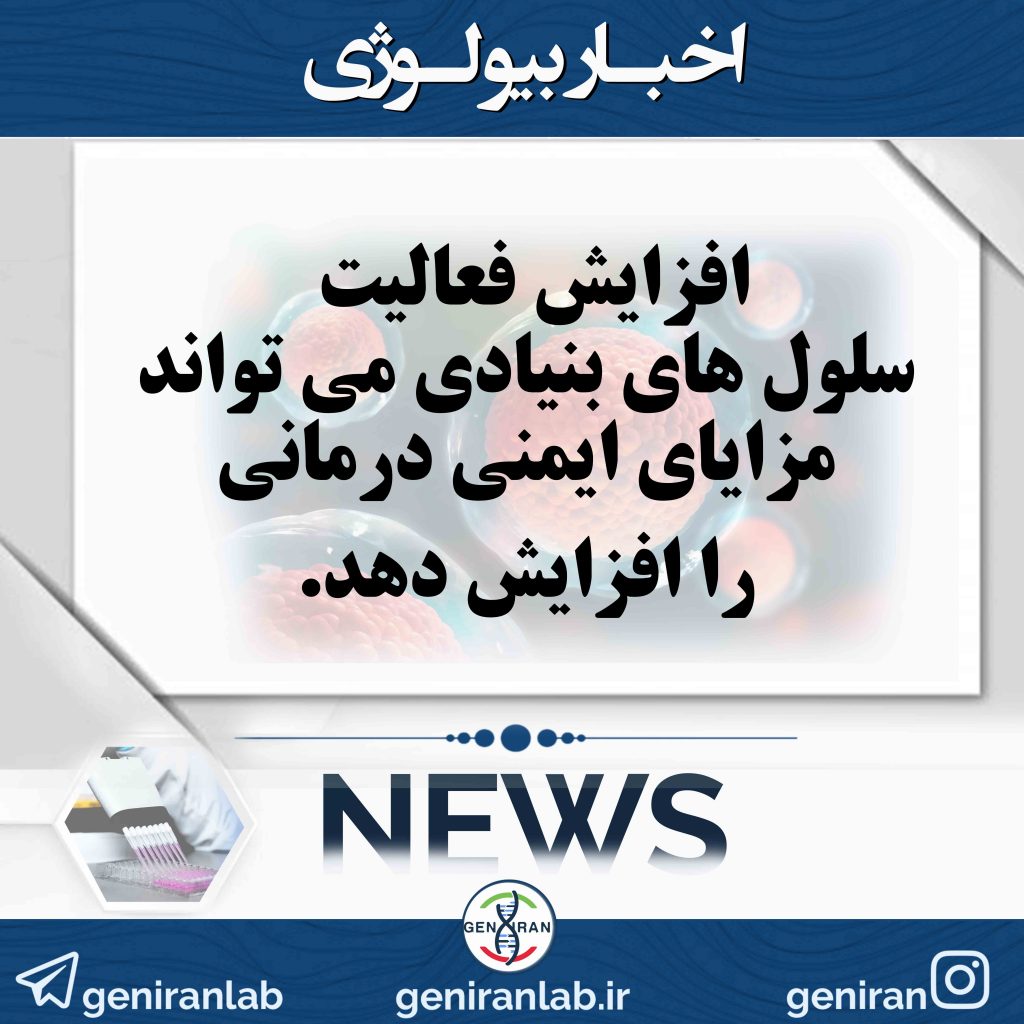 افزایش فعالیت سلول های بنیادی می تواند مزایای ایمنی درمانی را افزایش دهد.