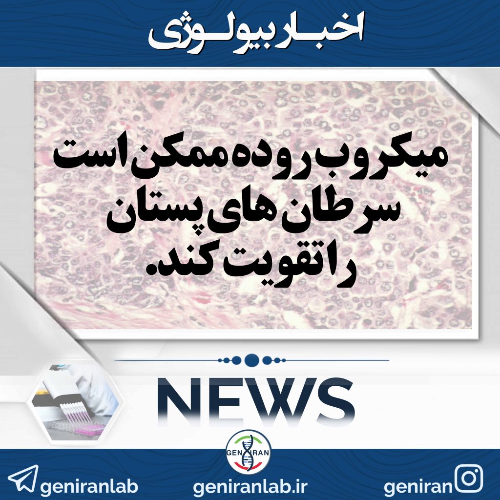 میکروب روده ممکن است سرطان های پستان را تقویت کند.