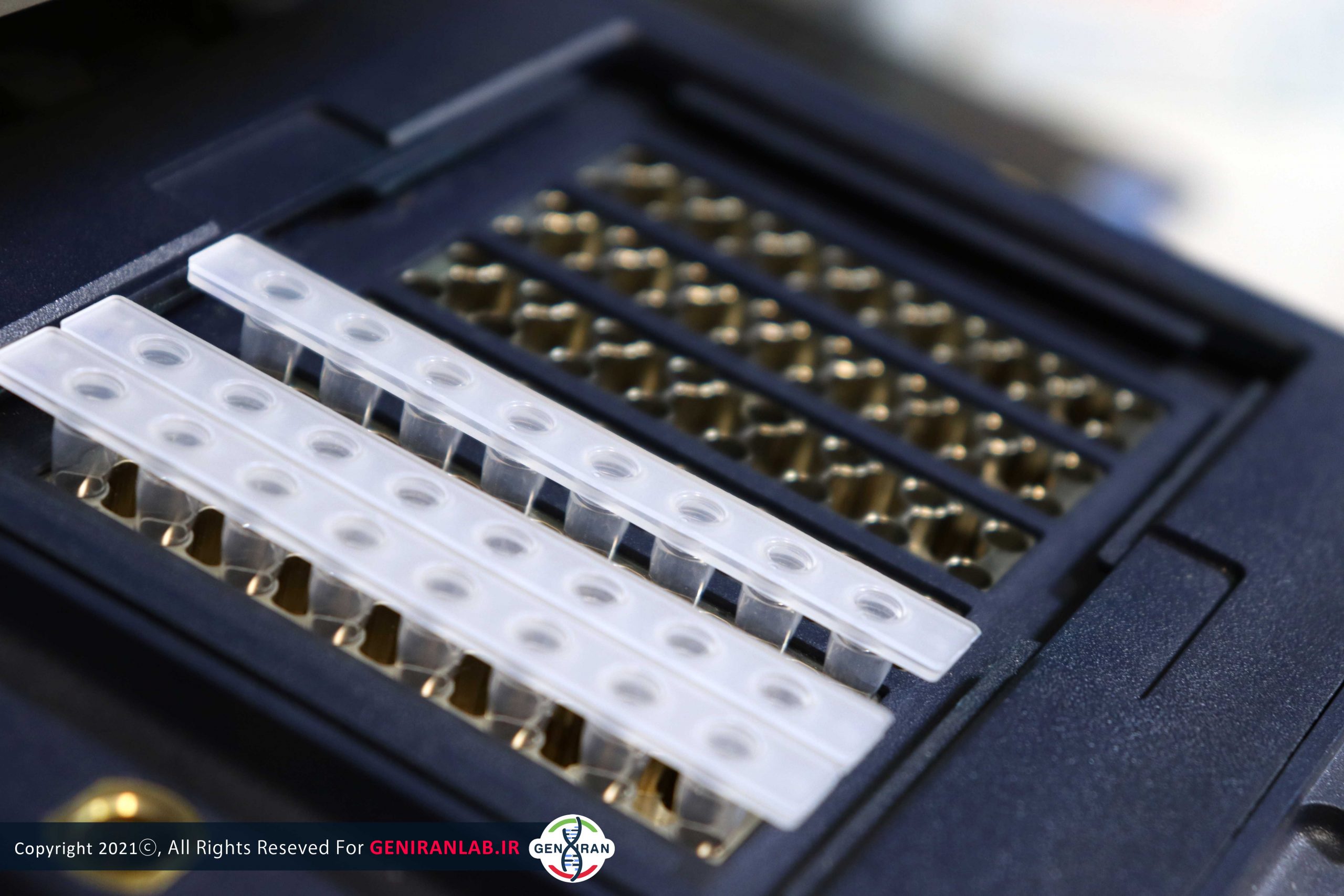 دستگاه Real-Time PCR