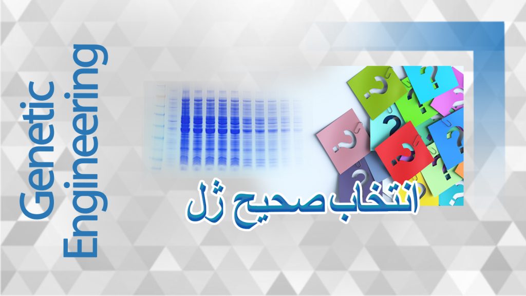 ساخت ژل و انتخاب صحیح