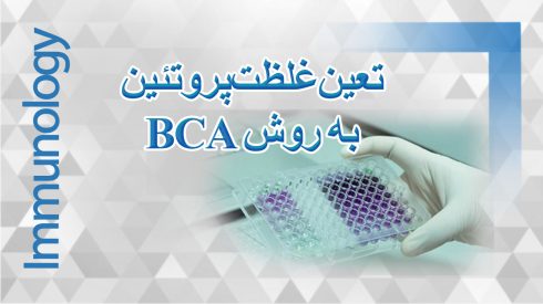 BCA