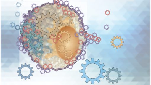 Mechanobiology چیست؟