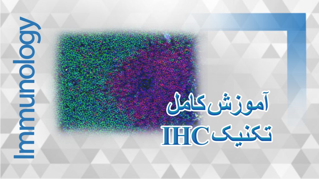 ihc