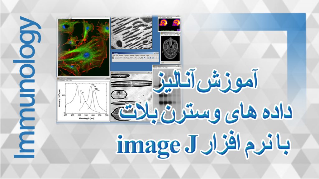 image j
