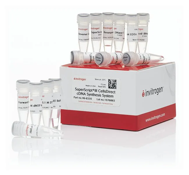 کیت سنتز cDNA