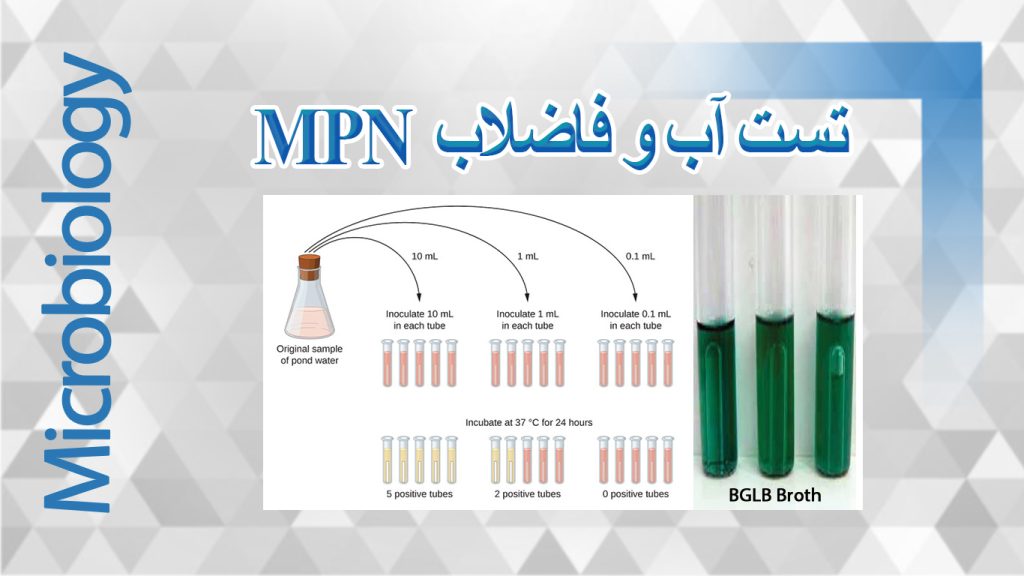 mpn