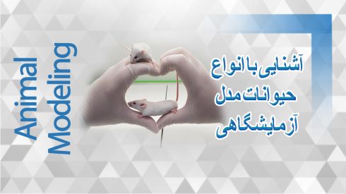 آشنایی با انواع حیوانات مدل آزمایشگاهی