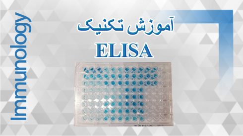 آموزش کامل تکنیک ELISA