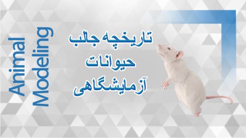 تاریخچه حیوانات