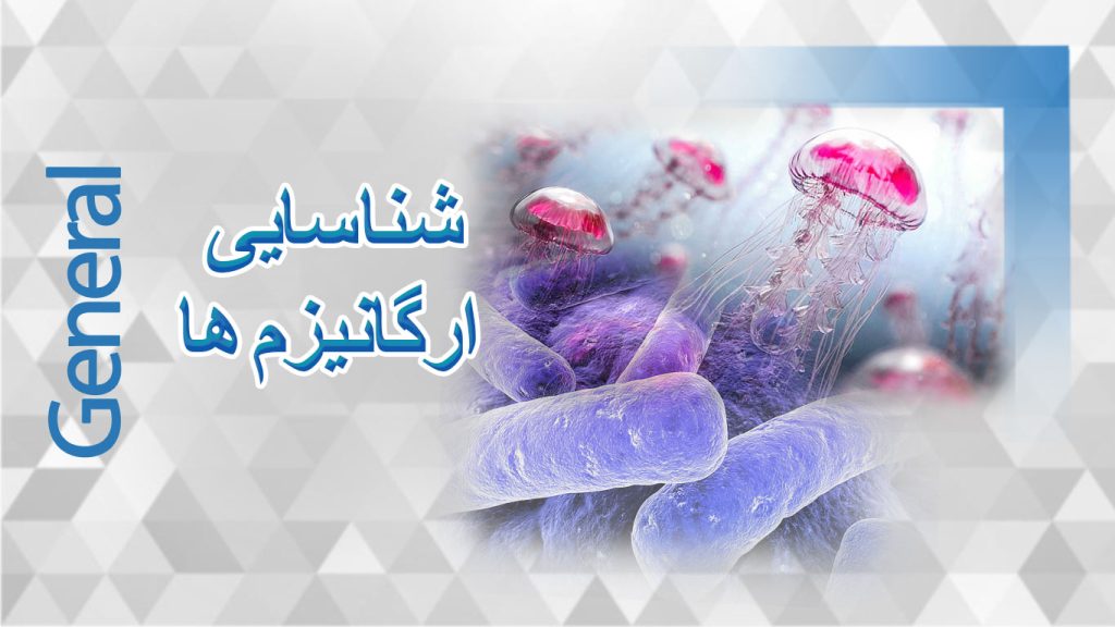 شناسایی-ارگانیزم-ها
