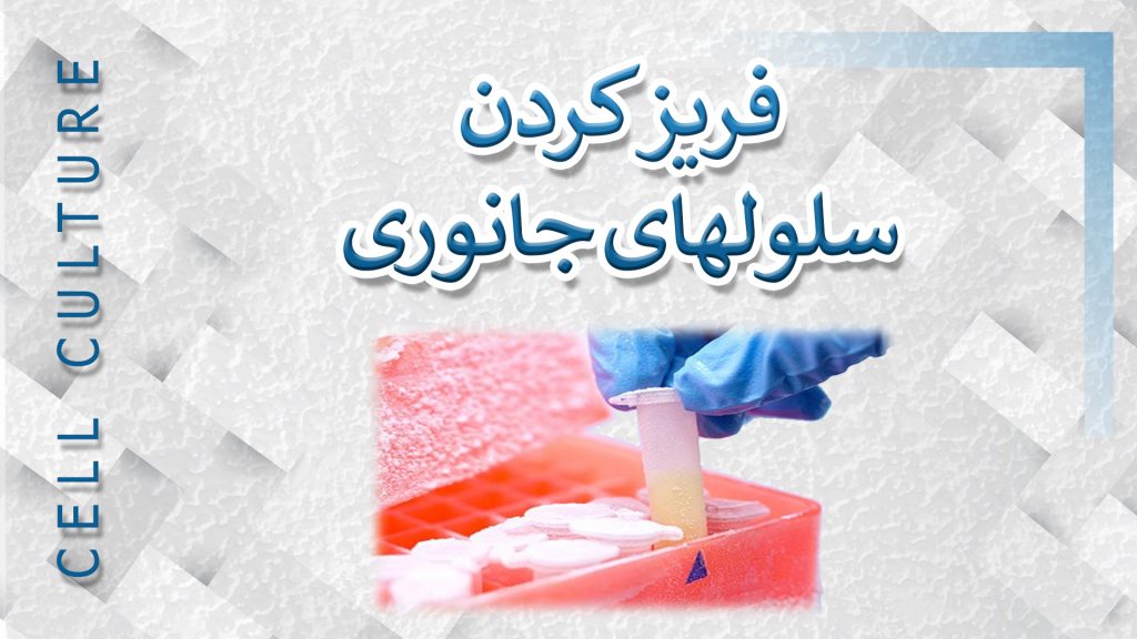 فریز کردن سلول های جانوری