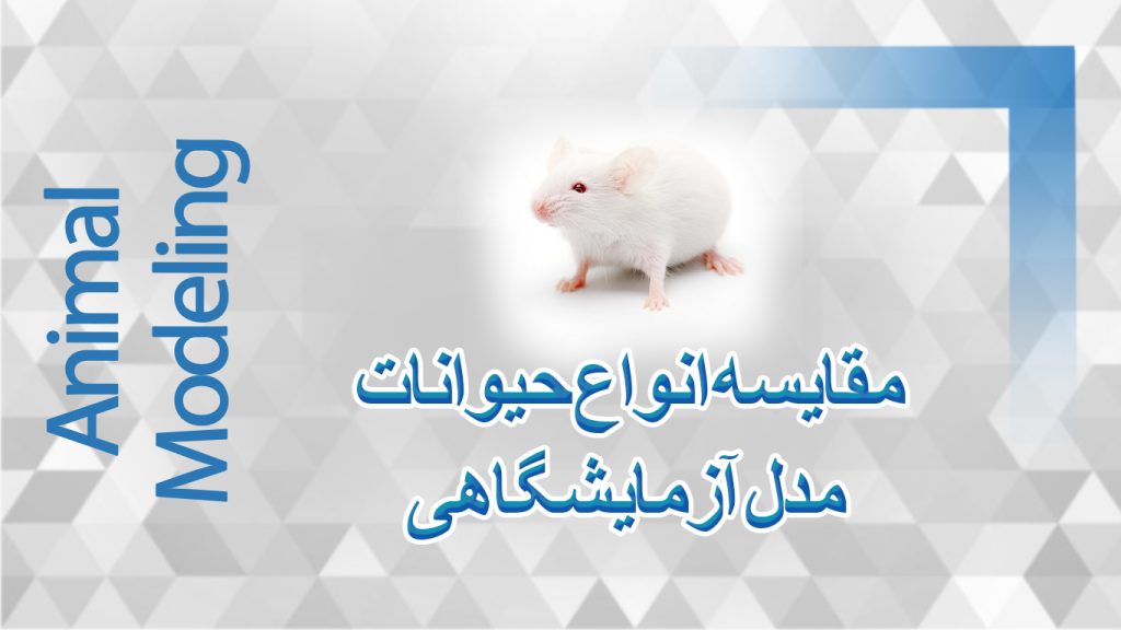 مقایسه انواع حیوانات مدل آزمایشگاهی