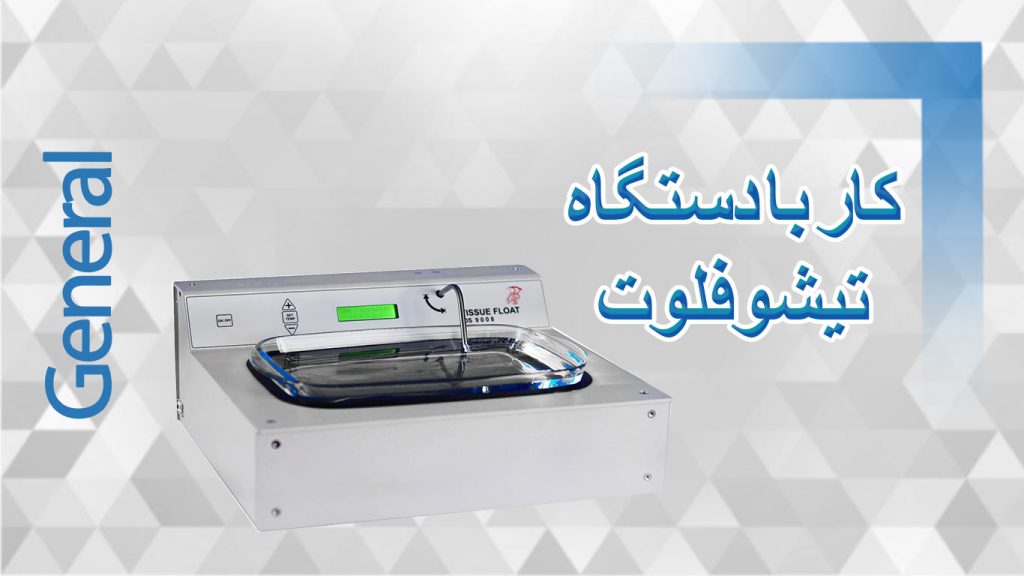 تیشوفلوت