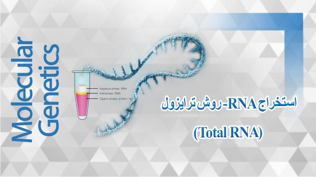 روش ترایزول - آموزش استخراج RNA