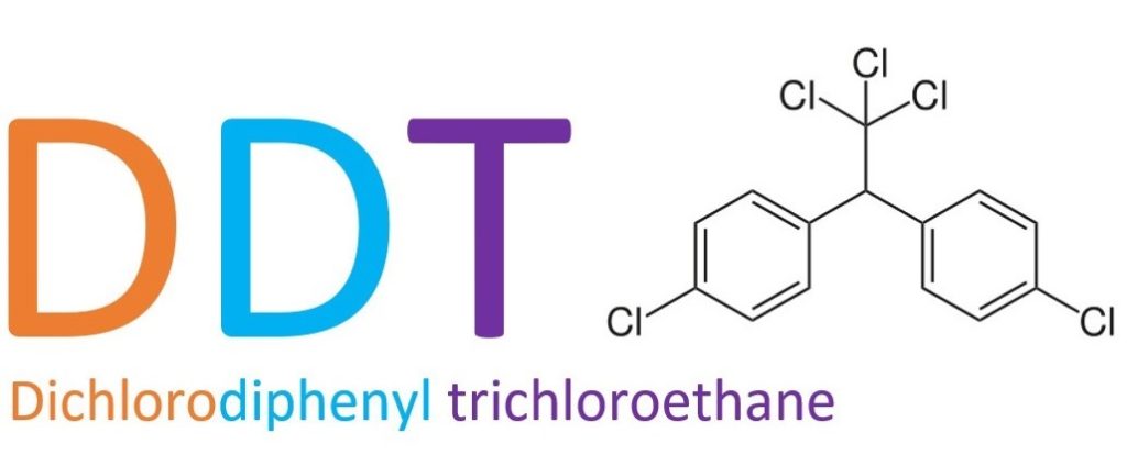 ddt چیست
