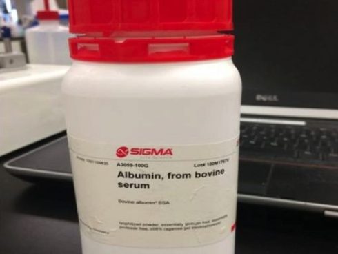 آلبومین سرم گاوی (BSA)