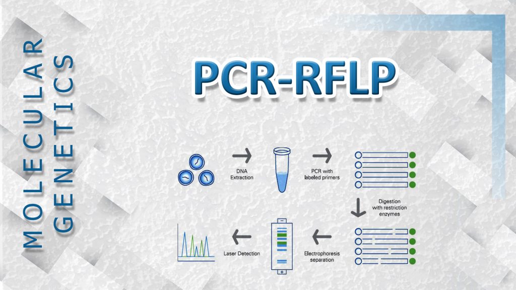 تکنیک RFLP در PCR