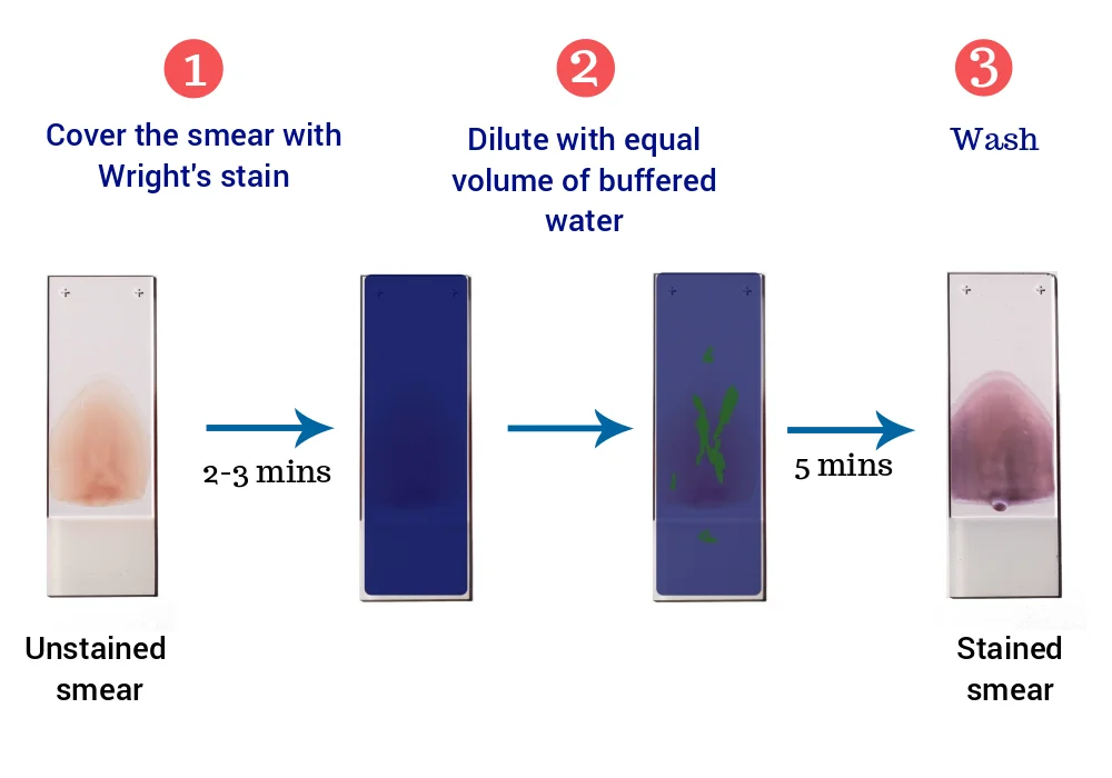 روند اجرای رنگ آمیزی رایت