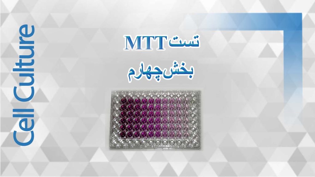 Mtt 4