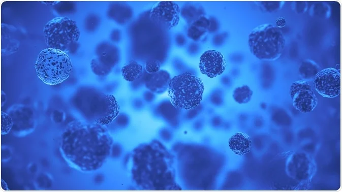 dapi