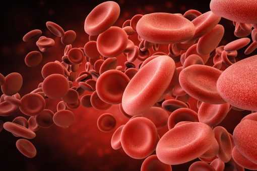 سلول های خونی | ژنیران