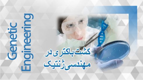 کشت باکتری در مهندسی ژنتیک