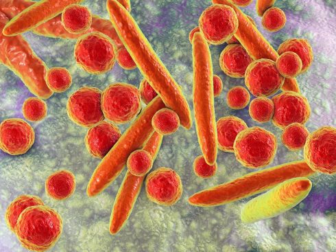 مایکوپلاسما چیست؟