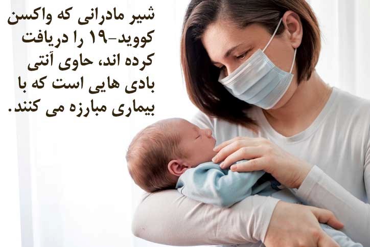 شیر مادرانی که واکسن کووید-19 را دریافت کرده اند، حاوی آنتی بادی هایی است که با بیماری مبارزه می‌کنند.