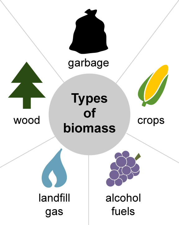 زیست توده (BIOMASS) چیست؟