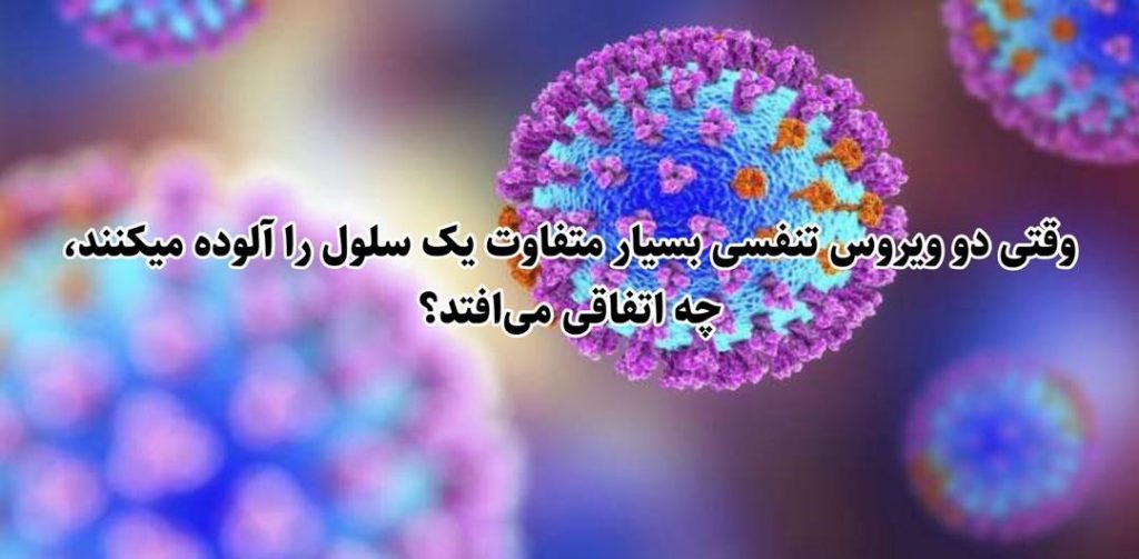 وقتی دو ویروس تنفسی بسیار متفاوت یک سلول را آلوده میکنند، چه اتفاقی می‌افتد؟