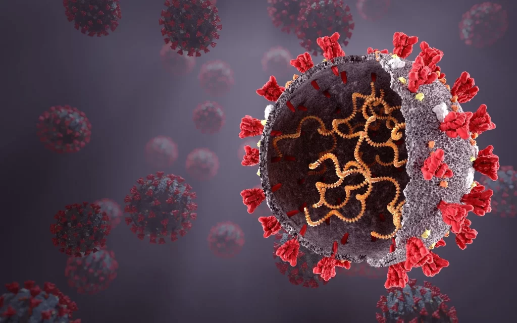 virus- immune