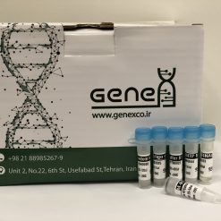 کیت استخراج rna