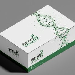 cDNA