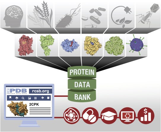 آشنایی با PDB