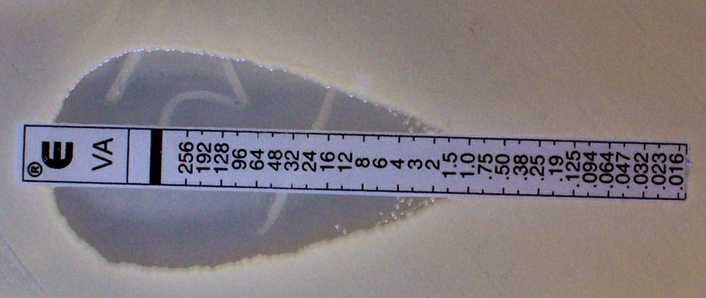 Etest