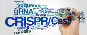 CRISPR-Cas9