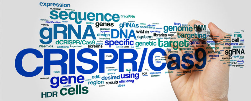 CRISPR-Cas9