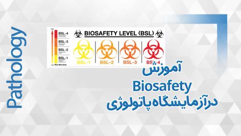 اصول بهینه کار در آزمایشگاه پاتولوژی