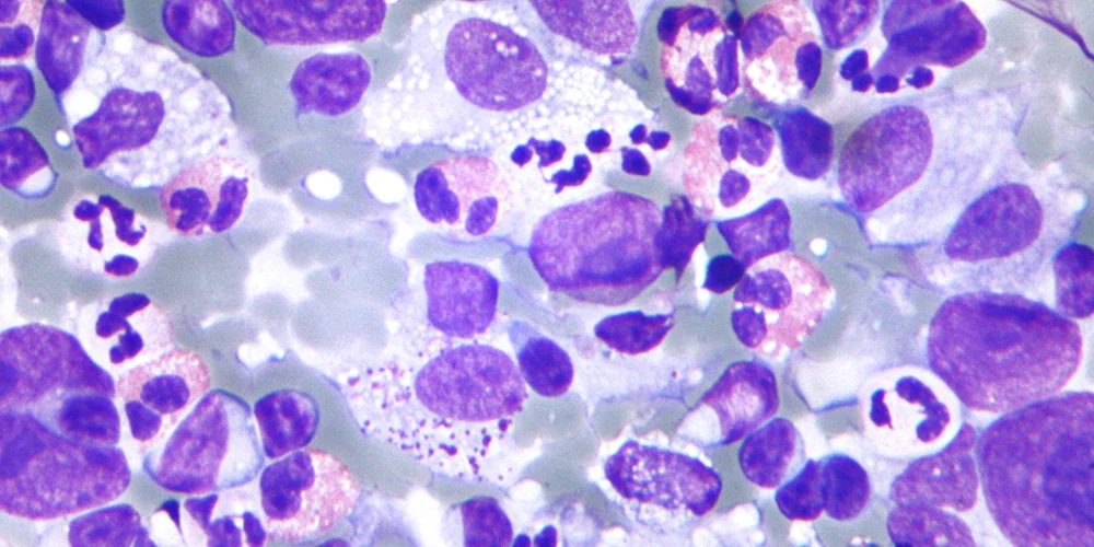 کاربرد سیتولوژی چیست؟