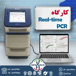کارگاه Real-time PCR