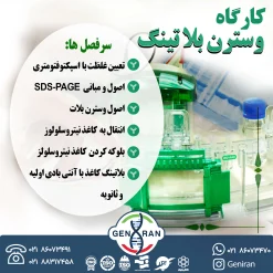 کارگاه وسترن بلاتینگ