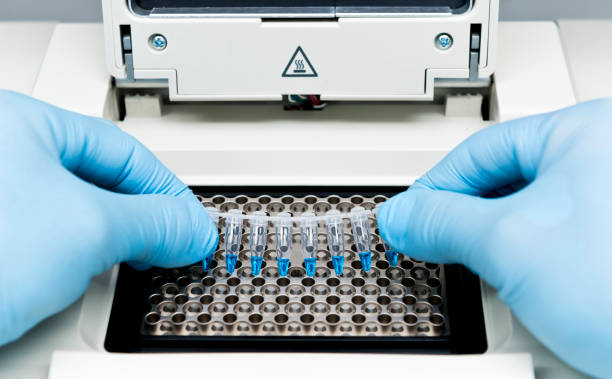 چاهک های دستگاه pcr