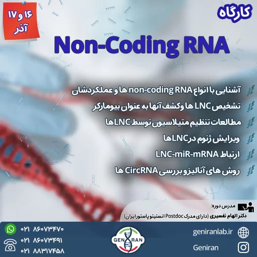 کارگاه Non-Coding RNA